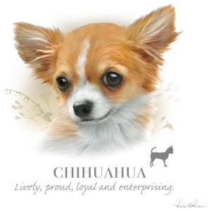 2. Bavlnené tričko - Chihuahua
