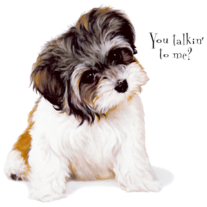 dog