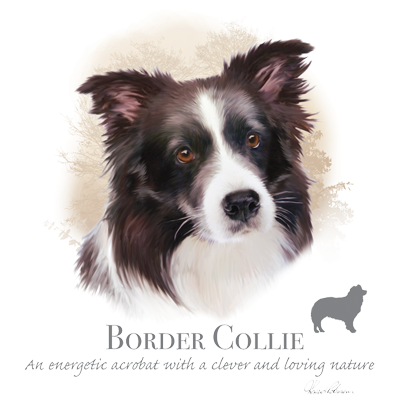 5. Bavlnené tričko - Border Collie 1 Border Collie