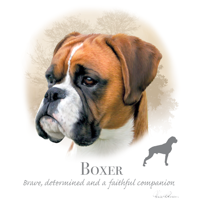 9. Bavlnené tričko - Boxer 1 Boxer
